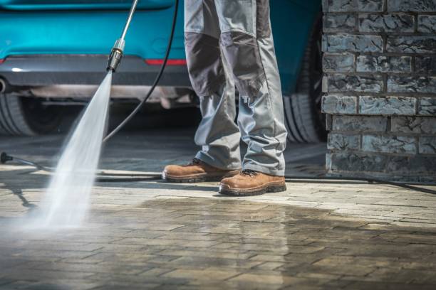 Best Soft Washing  in Punta Rassa, FL